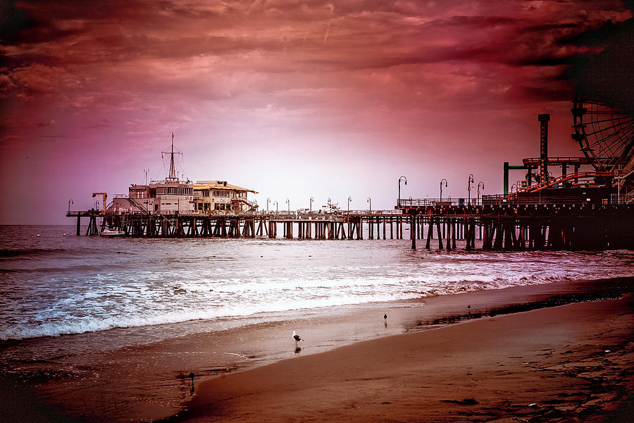 Santa Monica Pier Collection- 10/36 Photograph by Gene Parks