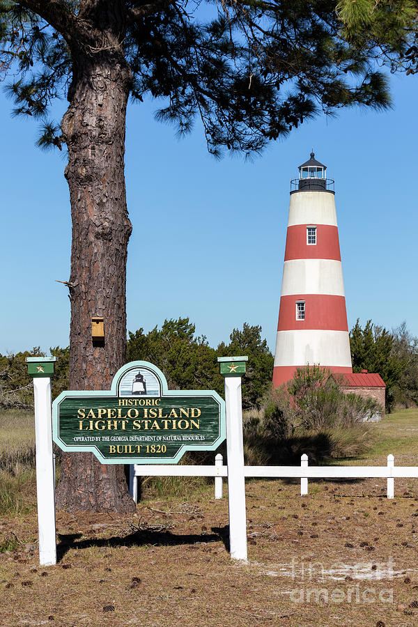 Sapelo Island Lighthouse, Sapelo Island, Georgia #6 Photograph by Dawna Moore Photography