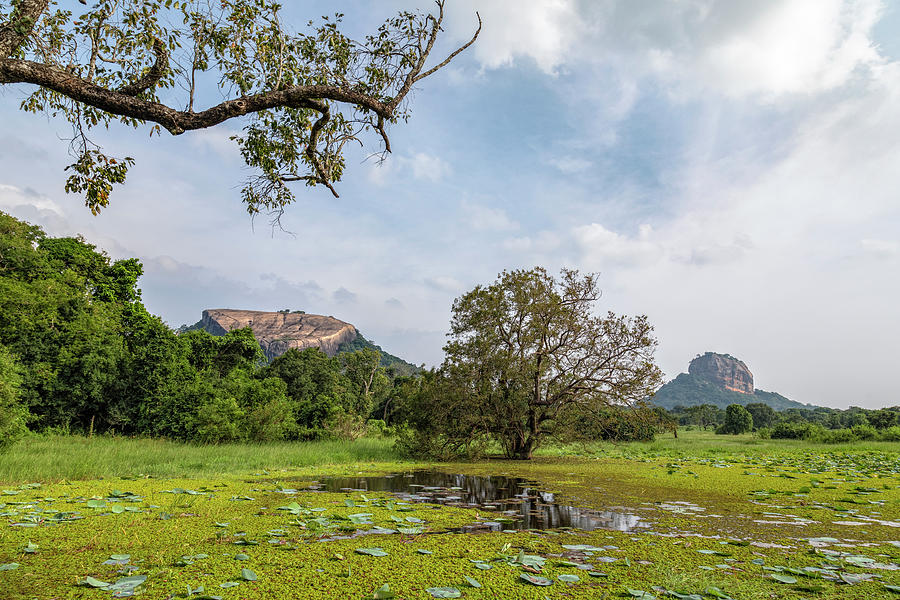 Sigiriya - Sri Lanka #6 Photograph by Joana Kruse