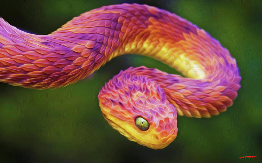 Snake Photograph - Snake #6 by Mariel Mcmeeking