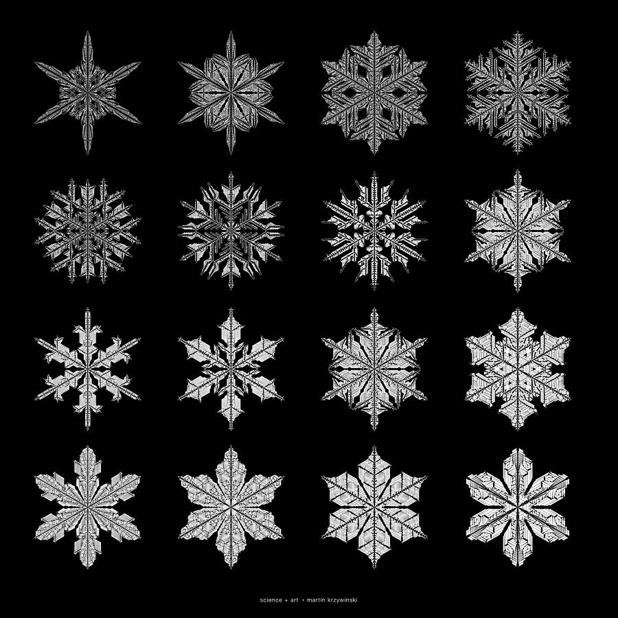 Snowflakes Digital Art - Snowflake simulation by Martin Krzywinski
