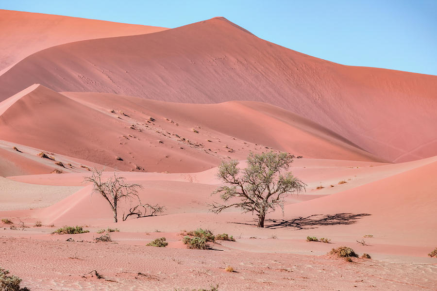 Sossusvlei - Namibia #6 Photograph by Joana Kruse