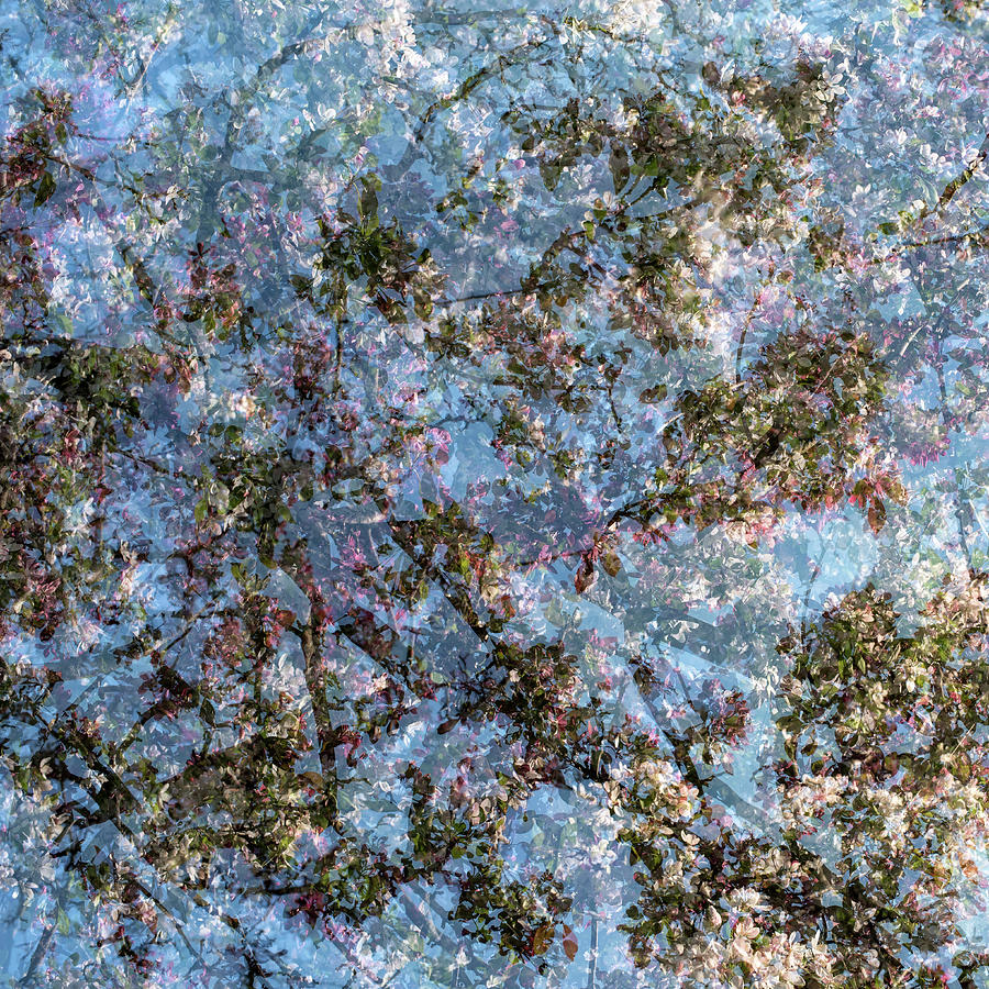 Spring Season - Inspired by Jackson Pollock #7 Photograph by Shankar Adiseshan