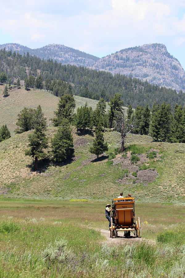 Stagecoach Yellowstone USA #6 Photograph by Bob Savage