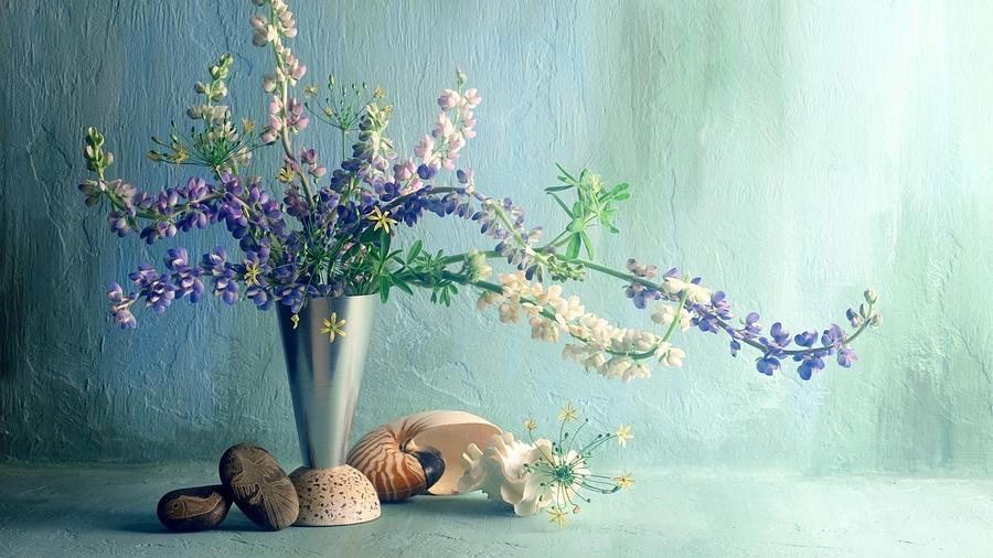 Still Life Photograph - Still Life #6 by Jackie Russo