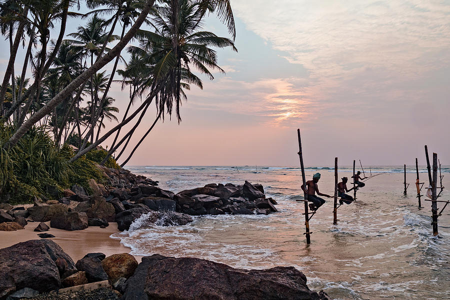 Stilt Fishermen - Sri Lanka #6 Photograph by Joana Kruse