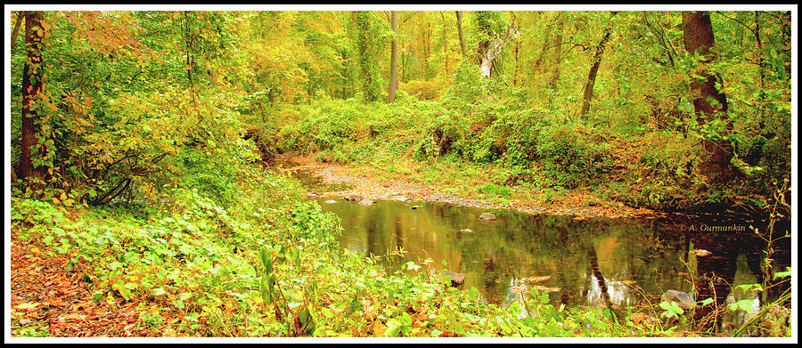Stream in Autumn, Montgomery County, Pennsylvania #6 Photograph by A Macarthur Gurmankin