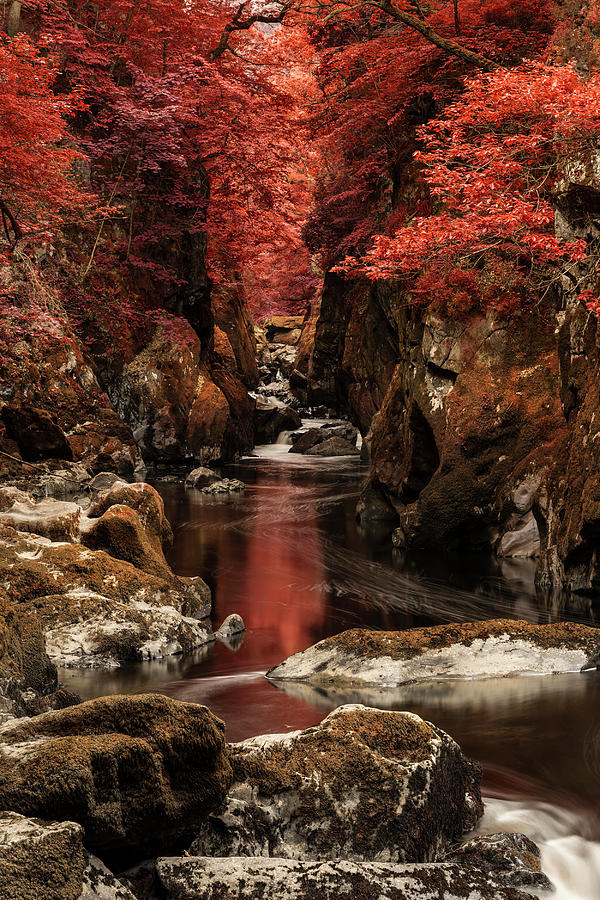Spring Photograph - Stunning ethereal landscape of deep sided gorge with rock walls  #6 by Matthew Gibson