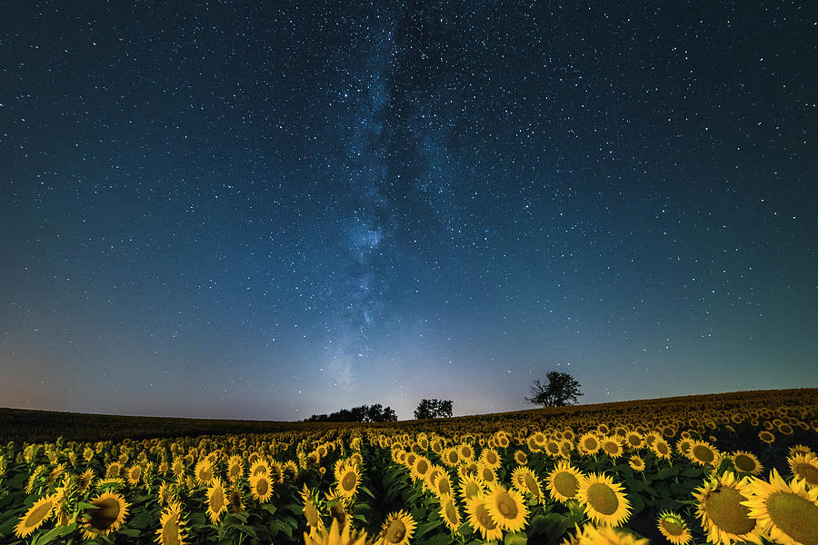 Summer Photograph - Sunflower Galaxy #6 by Ryan Heffron