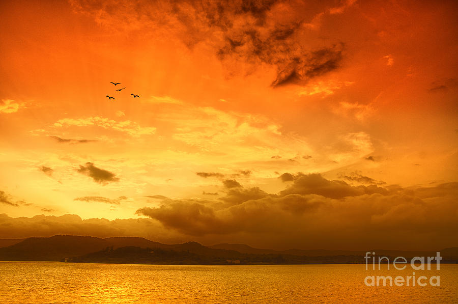 Sunset Photograph - Sunset  #6 by Charuhas Images