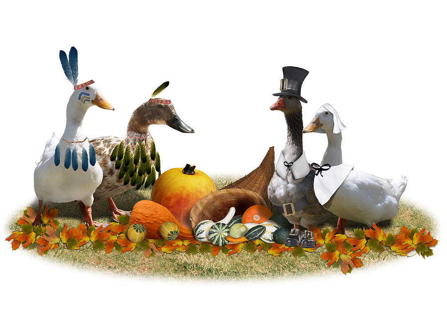 Thanksgiving Ducks #6 Mixed Media by Gravityx9  Designs