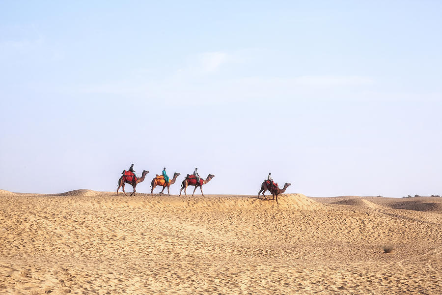 Camel Photograph - Thar Desert - India #6 by Joana Kruse