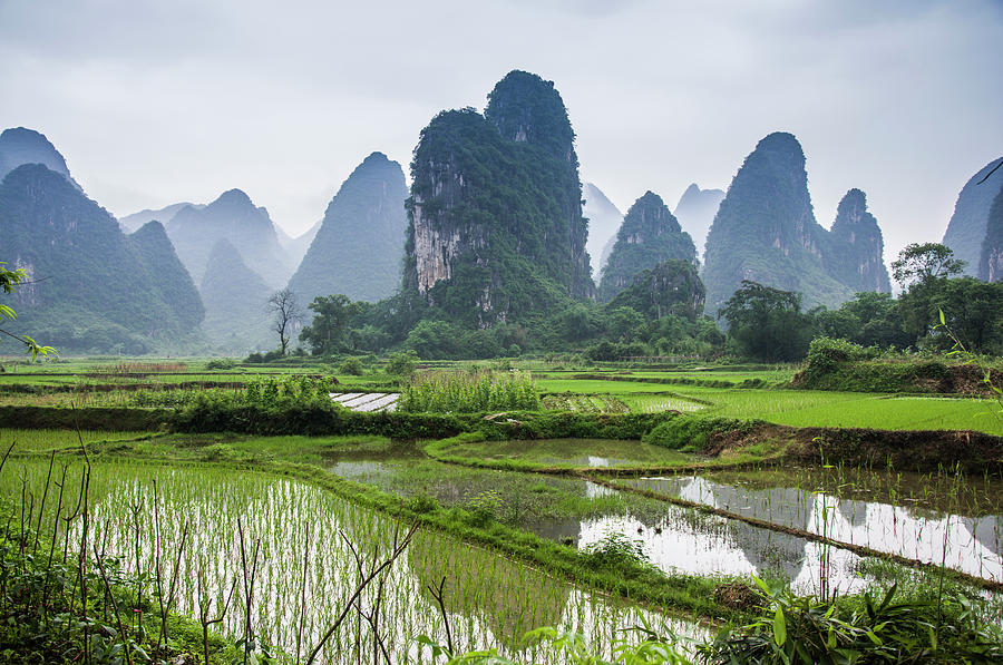The beautiful karst rural scenery in spring #6 Photograph by Carl Ning