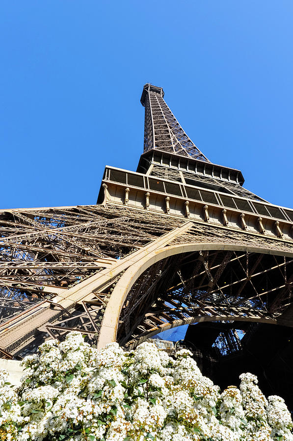 The Eiffel Tower in Paris #6 Photograph by Dutourdumonde Photography