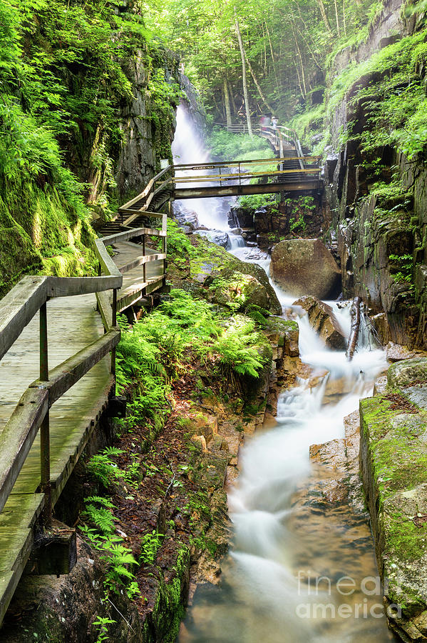 The Flume Gorge, Lincoln, New Hampshire #6 Photograph by Dawna Moore Photography