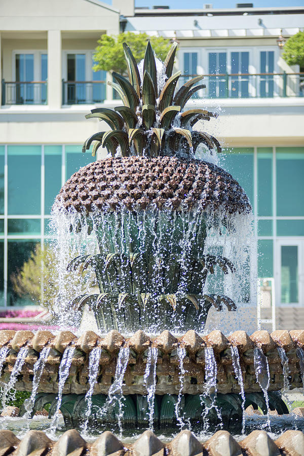 The Pineapple Fountain, at the Waterfront Park in Charleston, So #6 Photograph by Alex Grichenko