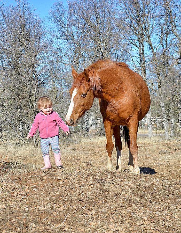 Toddler and Horse #6 Photograph by Maria Jansson