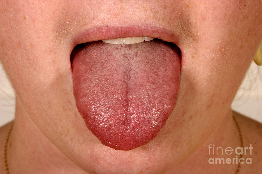 Tongue #6 Photograph by Ted Kinsman