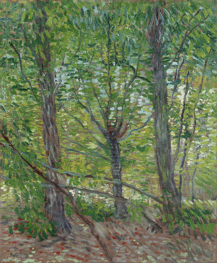 Vincent Van Gogh Photograph -  Trees #7 by Vincent van Gogh