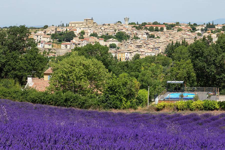 Valensole - Provence, France #6 Photograph by Joana Kruse