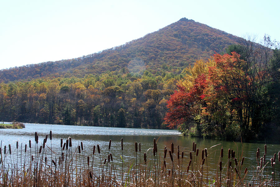 View of Abbott Lake and Sharp Top in autumn #6 Photograph by Emanuel Tanjala