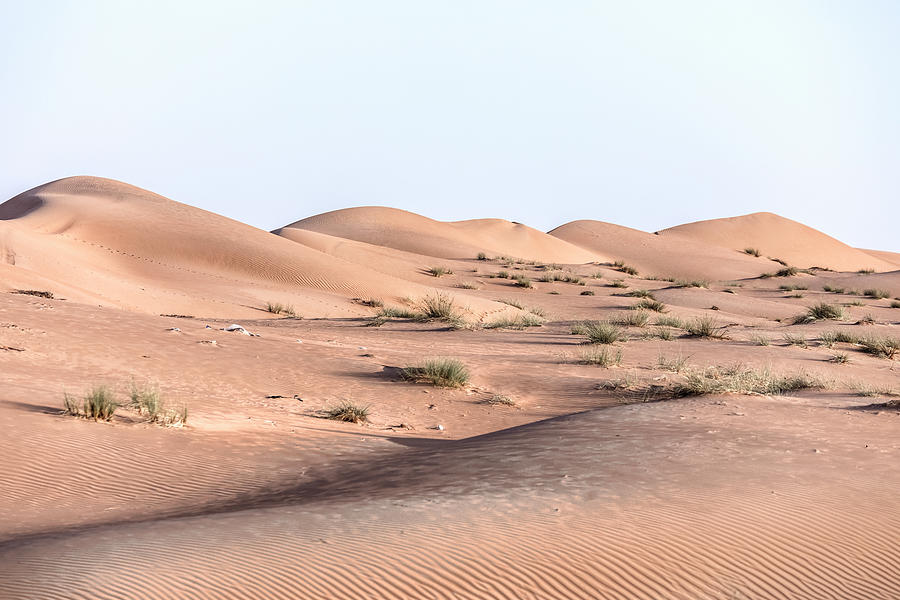 Wahiba Sands - Oman #6 Photograph by Joana Kruse