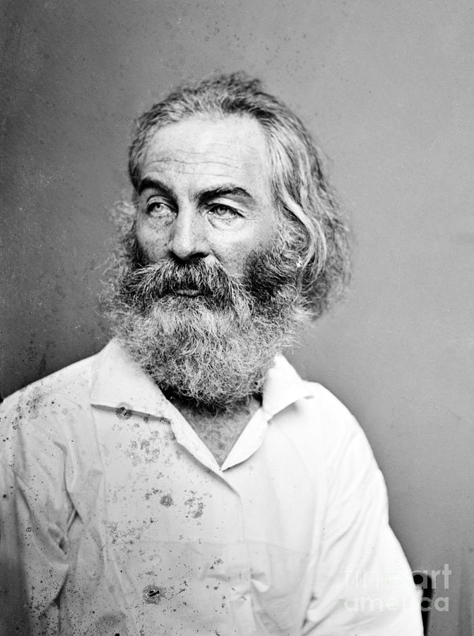 Walt Whitman #2 Photograph by Granger