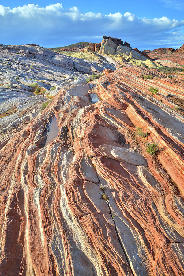Waves of Color in Valley of Fire #9 Photograph by Ray Mathis