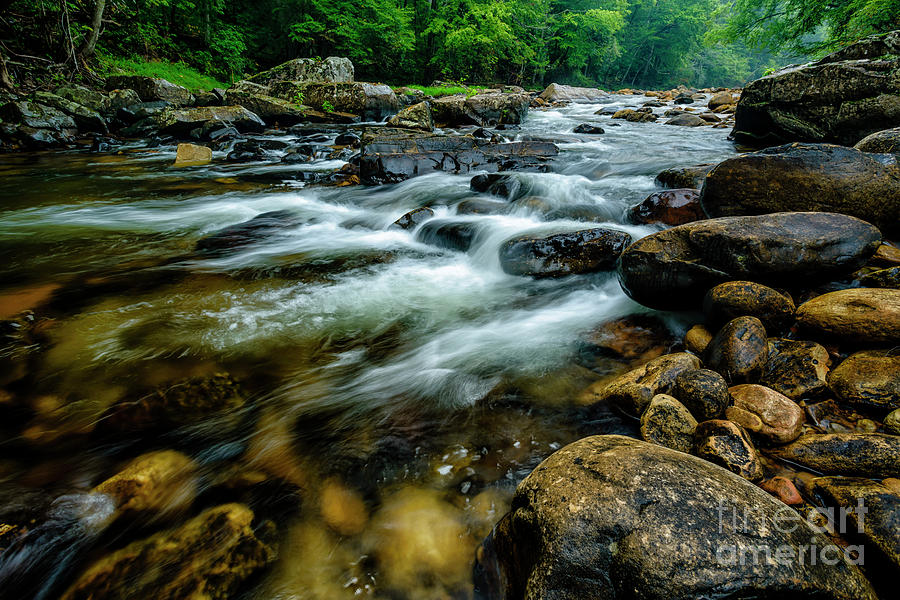 Nature Photograph - Williams River #6 by Thomas R Fletcher