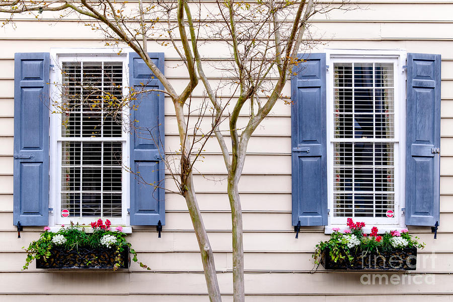Windows of Charleston #6 Photograph by Dawna Moore Photography