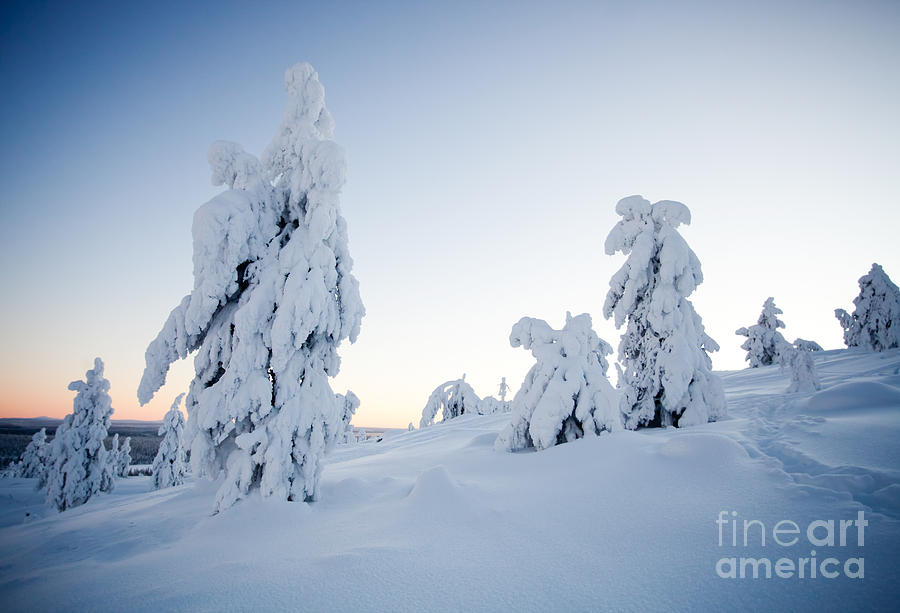 Winter in Lapland Finland #6 Photograph by Kati Finell