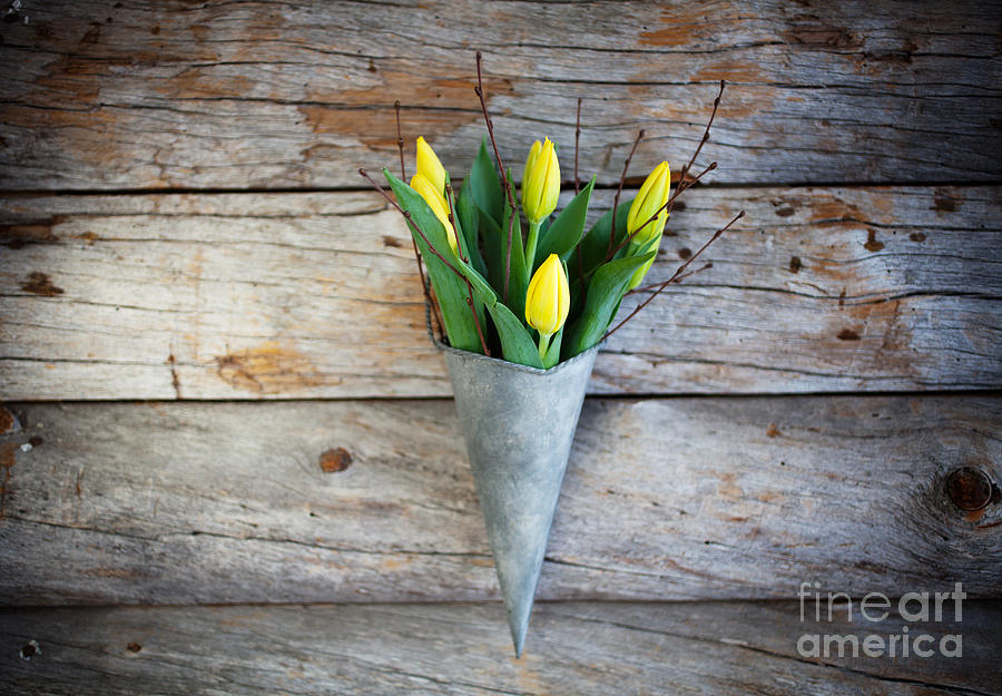 Yellow tulips #6 Photograph by Kati Finell