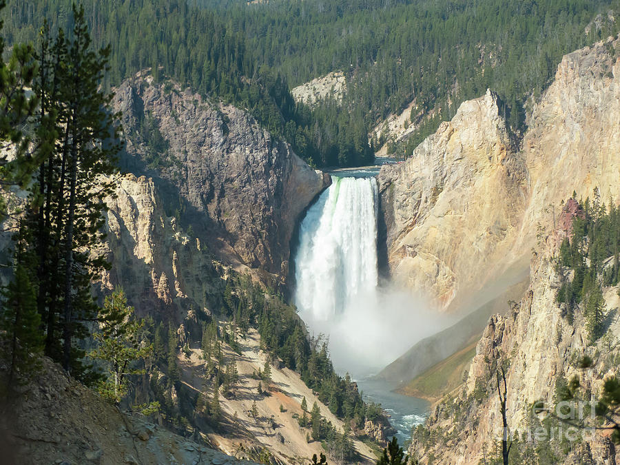 Yellowstone Lower Falls #6 Photograph by Rod Jones