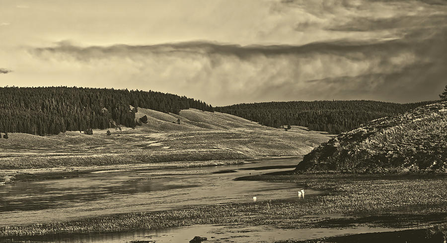 Yellowstone River #6 Photograph by Mountain Dreams
