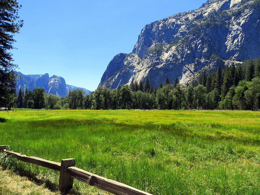 Yosemite Meadow Photograph by Richard Yates Yosemite Meadow Photograph by Richard Yates