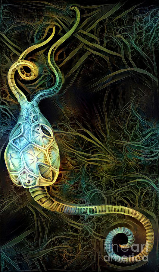 Abstract Jellyfish #60 Digital Art by Amy Cicconi