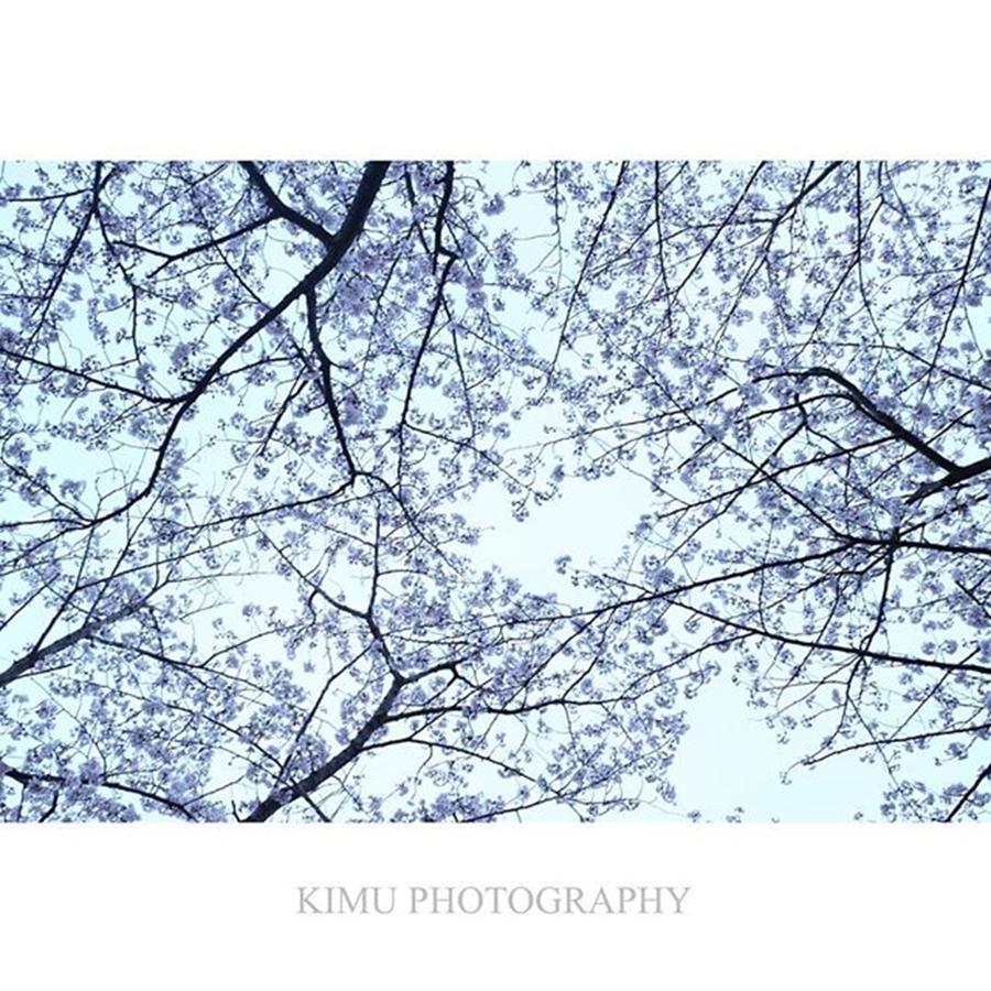 Landscape Photograph - Instagram Photo #601459957144 by Hiroki Kimura