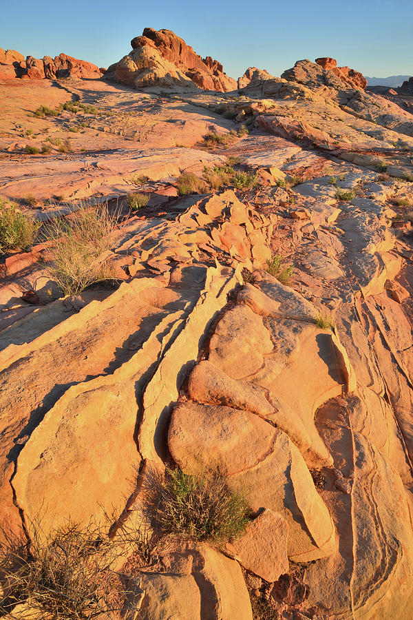 Valley of Fire #591 Photograph by Ray Mathis