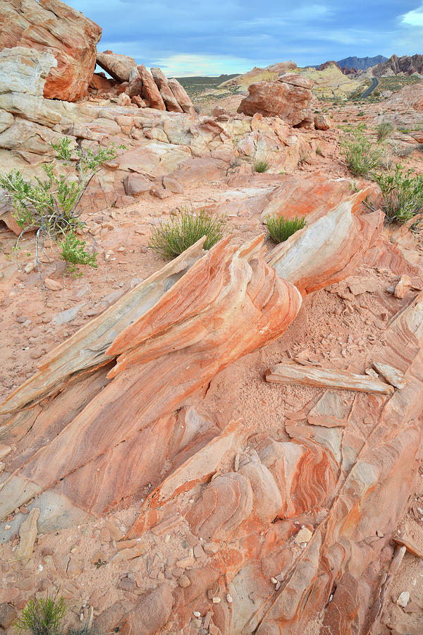 Valley of Fire #453 Photograph by Ray Mathis