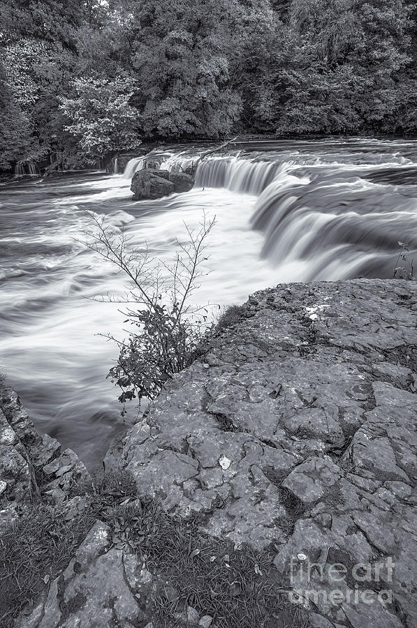 Nature Photograph - Aysgarth Falls #61 by Mariusz Talarek