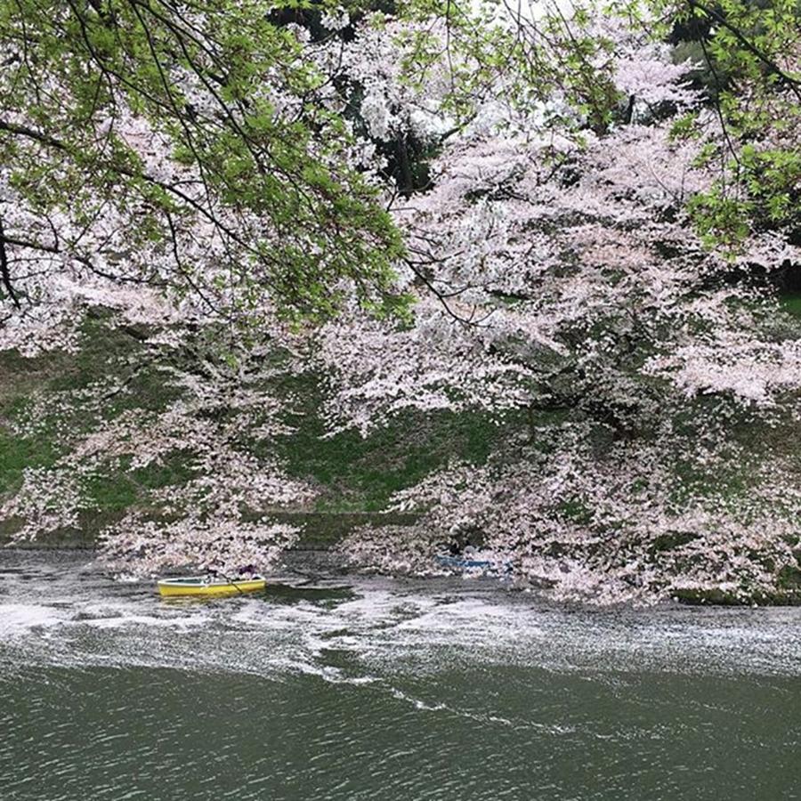 Spring Photograph - Instagram Photo #611482143230 by Raimu Goto