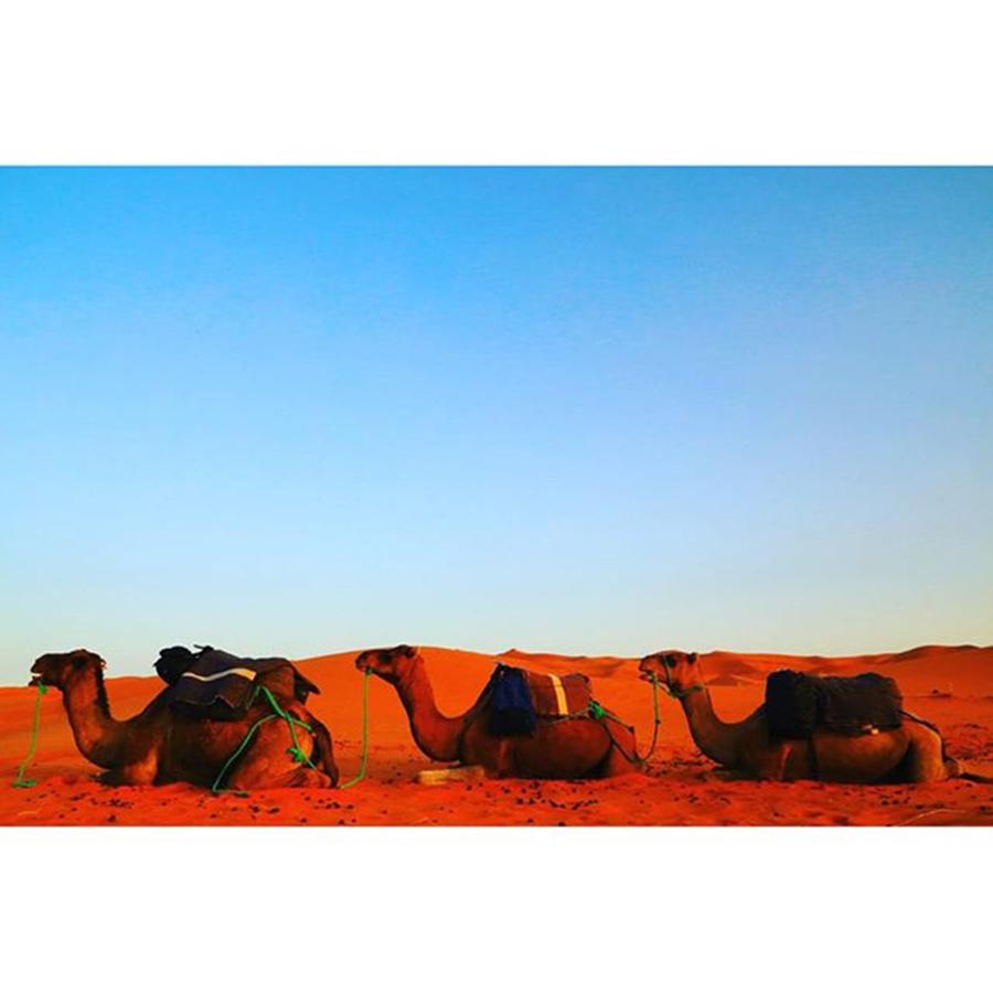 Desert Photograph - Instagram Photo #61461797772 by Kenta Sudo
