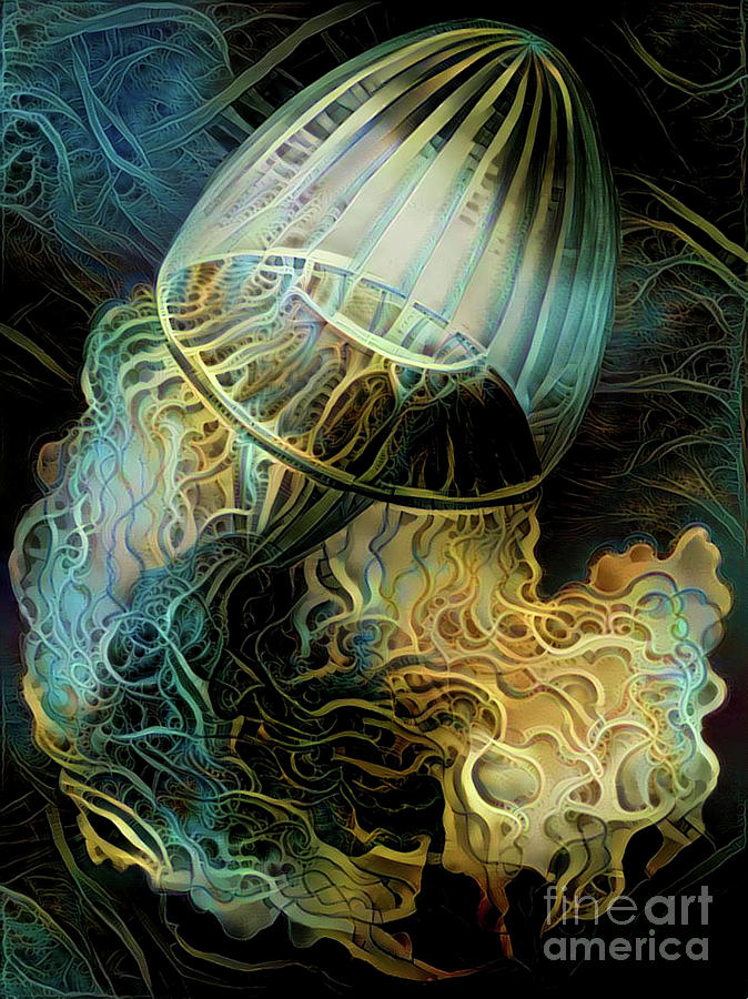 Abstract Jellyfish #62 Digital Art by Amy Cicconi