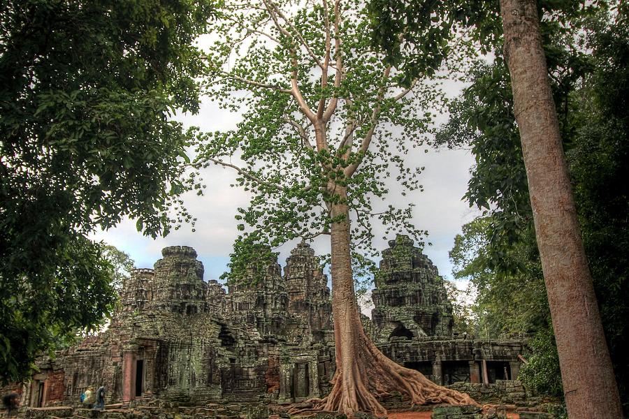 Angkor Wat Cambodia #62 Photograph by Paul James Bannerman