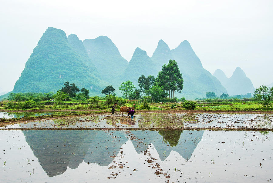 Karst rural scenery in spring #62 Photograph by Carl Ning