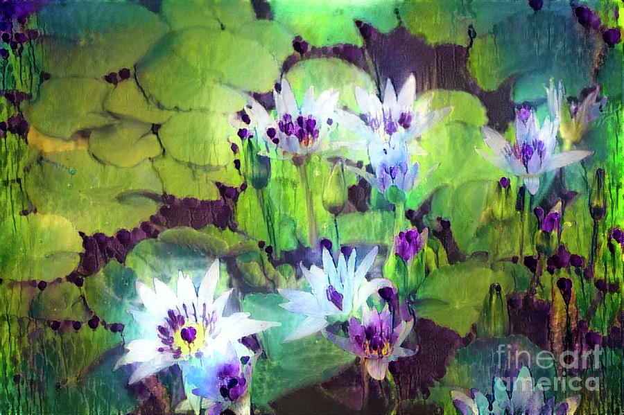 Jeweled Water Lilies #63 Digital Art by Amy Cicconi