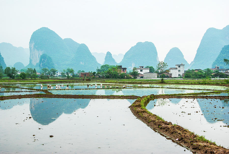 Karst rural scenery in spring #63 Photograph by Carl Ning