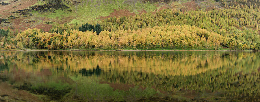 Fall Photograph - Stuning Autumn Fall landscape image of Lake Buttermere in Lake D #63 by Matthew Gibson