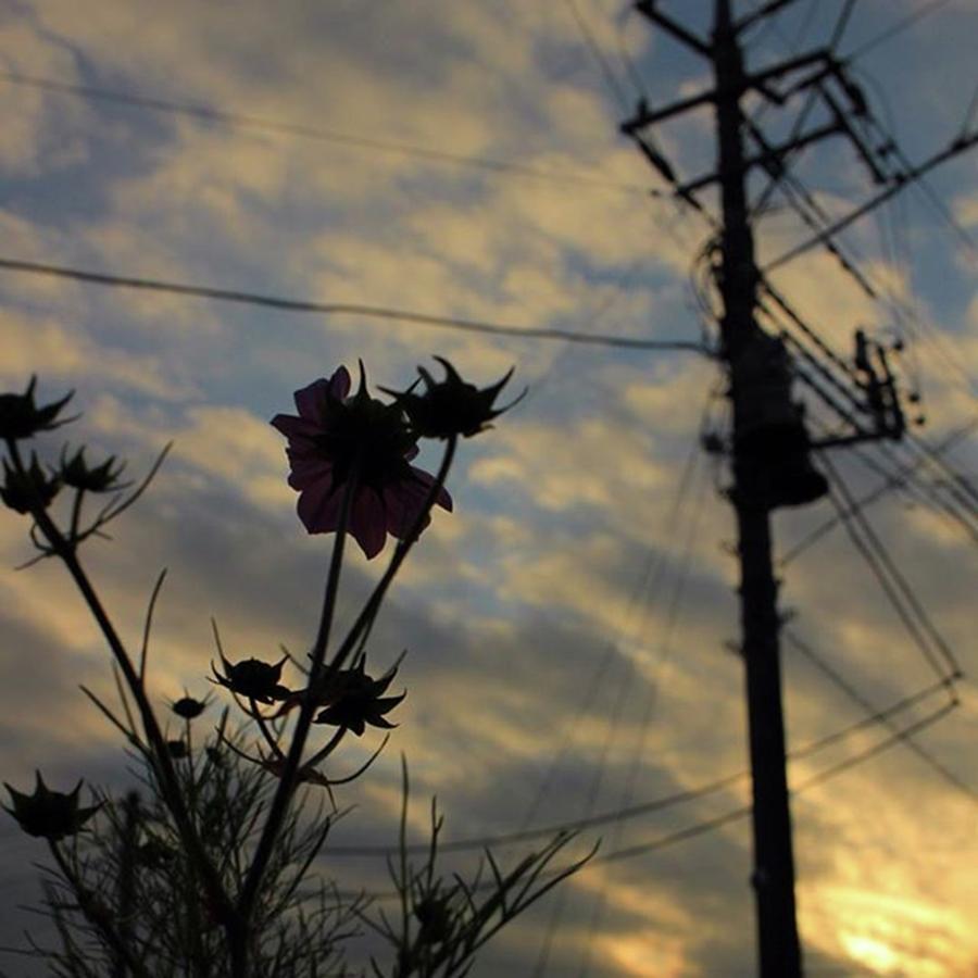 Sunset Photograph - Instagram Photo #631481693952 by Minori Koishi