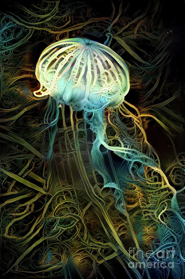 Abstract Jellyfish #64 Digital Art by Amy Cicconi